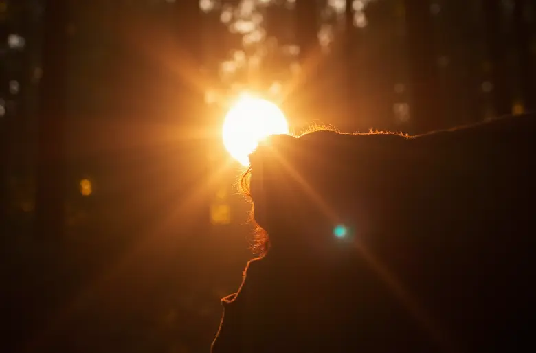 Natural lens flare effect at sunset with silhouetted profile and golden bokeh background